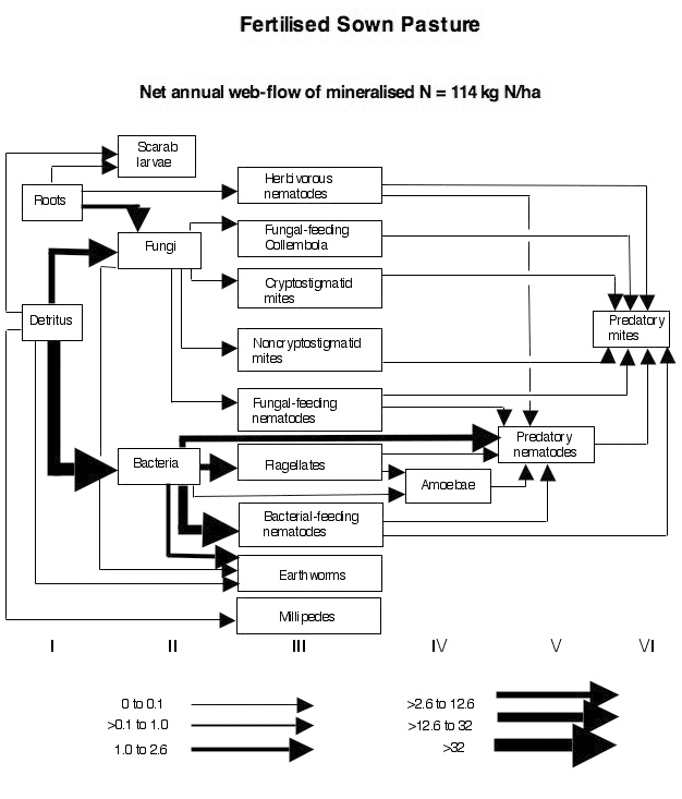 Soil food webs of small organisms on native, unfertilised and sown, fertilised pastures at Armidale NSW.