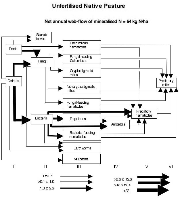 Soil food webs of small organisms on native, unfertilised and sown, fertilised pastures at Armidale NSW.