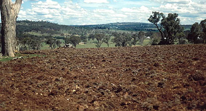 Freshly ploughed soil.