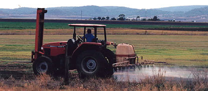 Spraying herbicides.