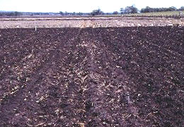 A cultivated field with no mulch retained