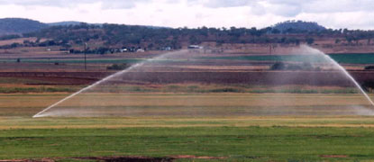 Irrigation photograph