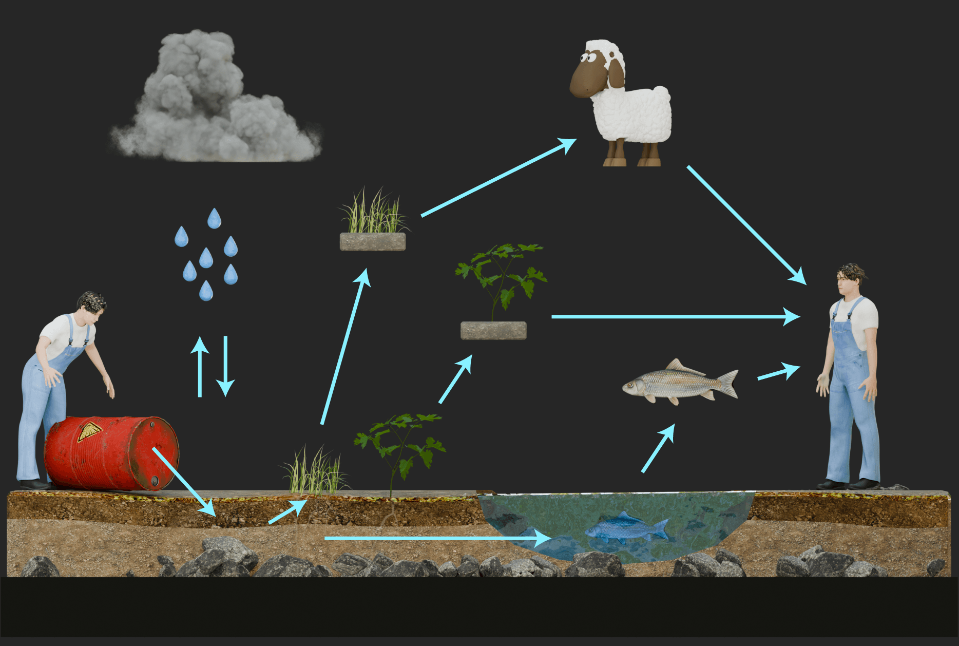 Cyclical nature of soil pollution and its effects