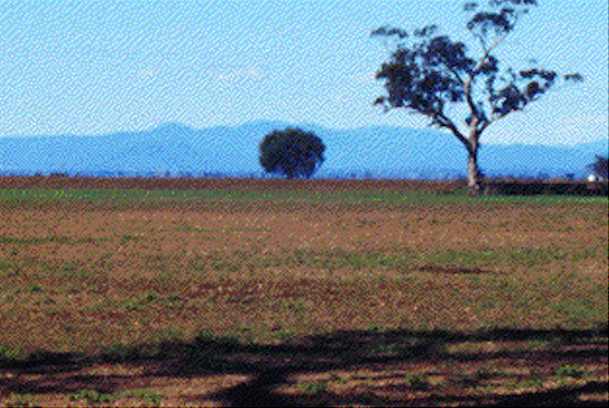 Landscape formation