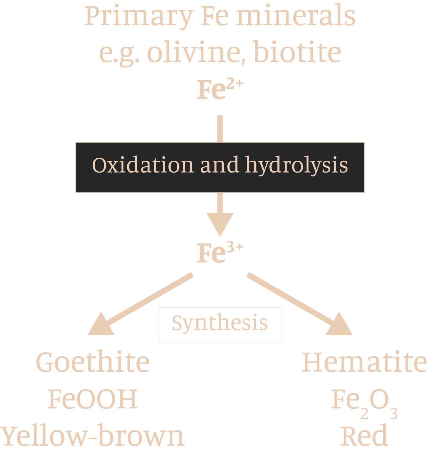 process of hydrolosys