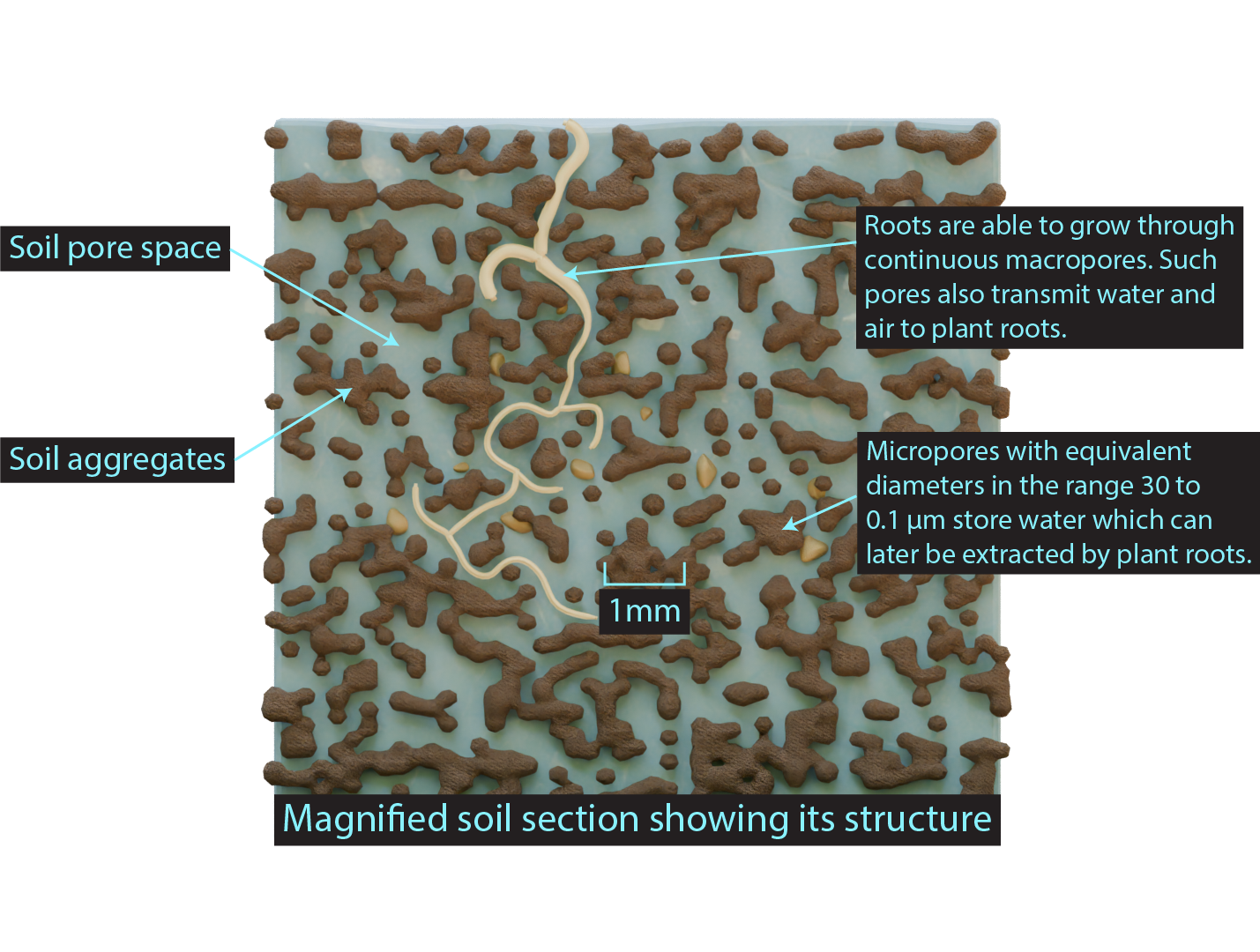 diagram showing enlarged section of soil with micropores, aggregates, and root