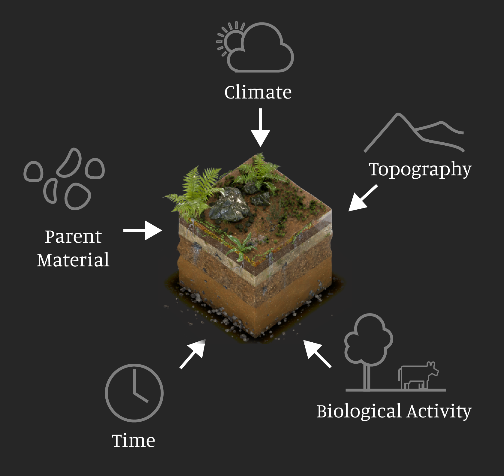Diagram outlining factors of soil formation