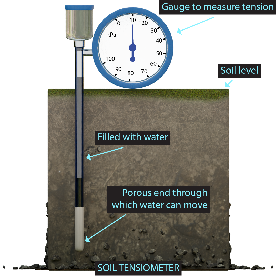 Diagram of a tensiometer